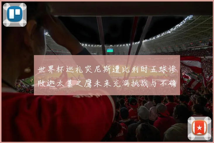 世界杯巡礼突尼斯遭比利时五球惨败迦太基之鹰未来充满挑战与不确定性